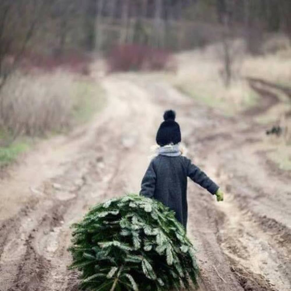 Meet your Posher, Darlene